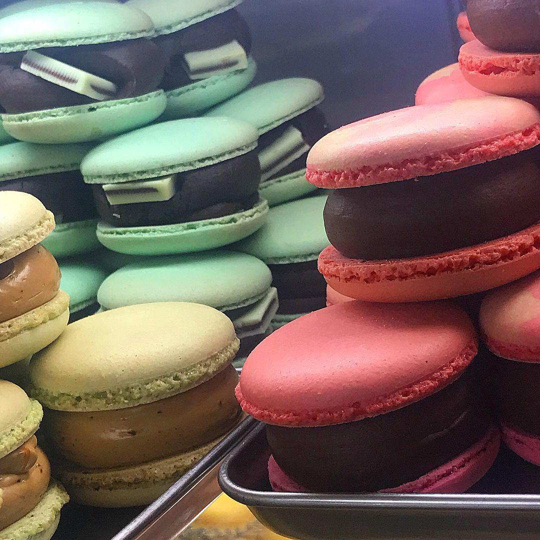 Disertación única image 3