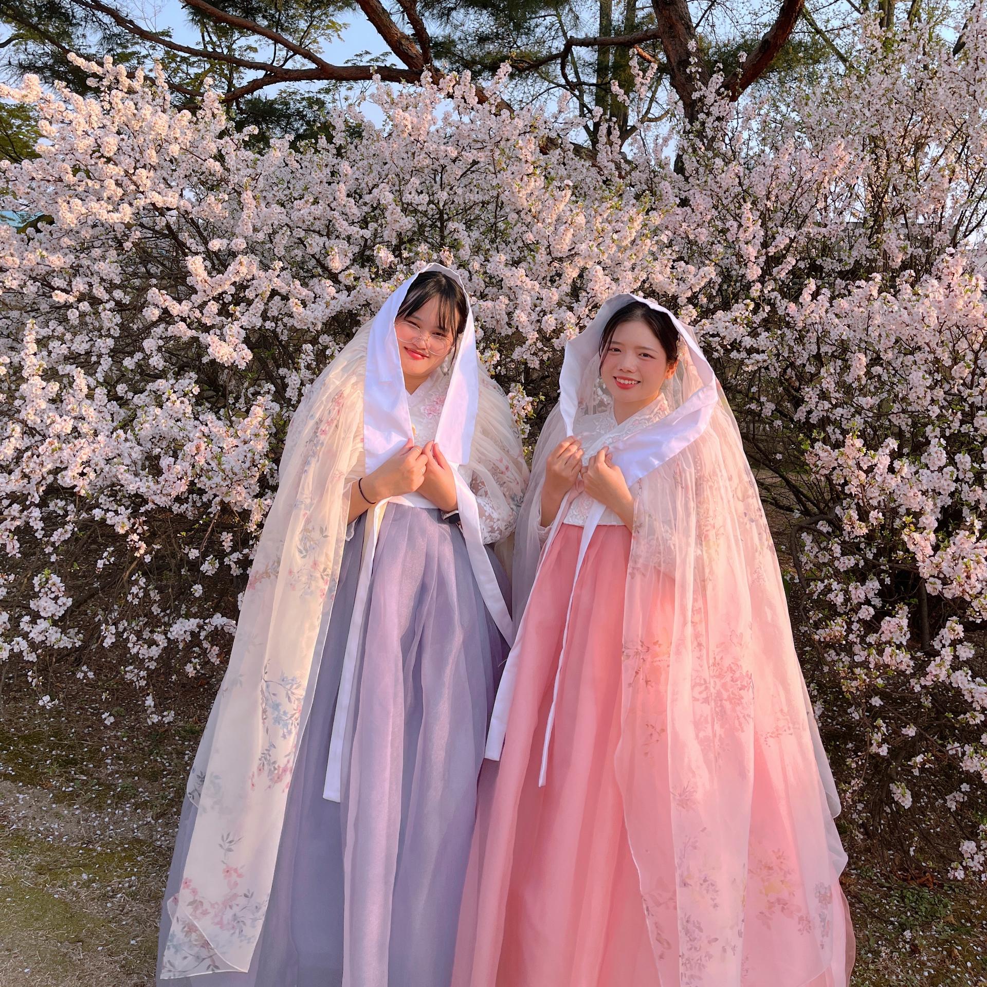 Hanbok Girls, Gyeongbokgung