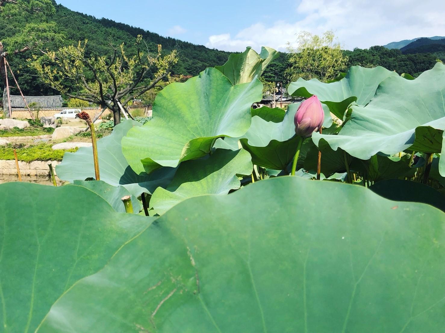 Nampyungmoon bonliseguji image 2