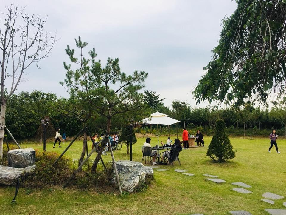 Mejuri-Kaffee image 1