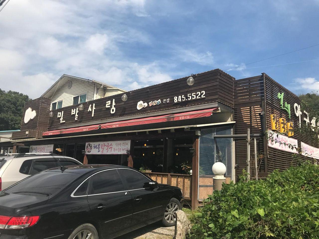 campo di grano amore kalguksoo image 6