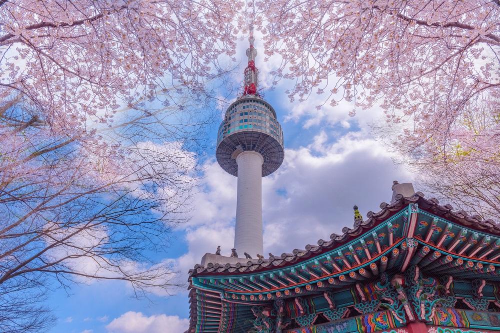 View of N Seoul Tower from Mount Namsan. Tower and nature surrounded by blue sky and clouds.