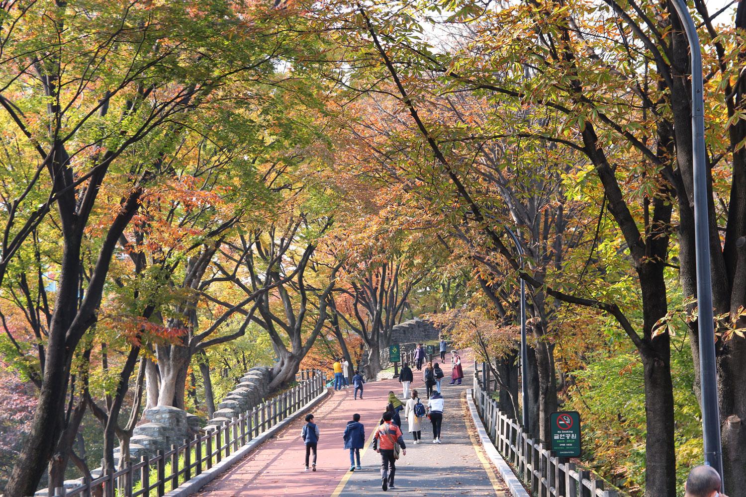 View from N Seoul Tower entrance ticket booth towards natural landscape with trees on road.