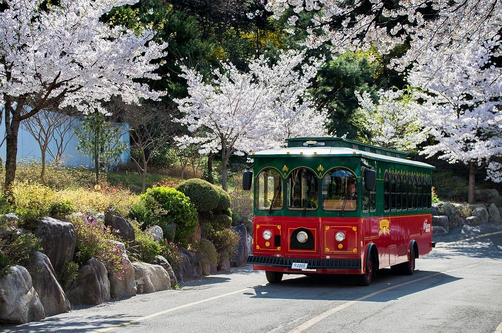 Bus Wisata Kota Seoul | Pusat kota, Istana, dan Namsan-image