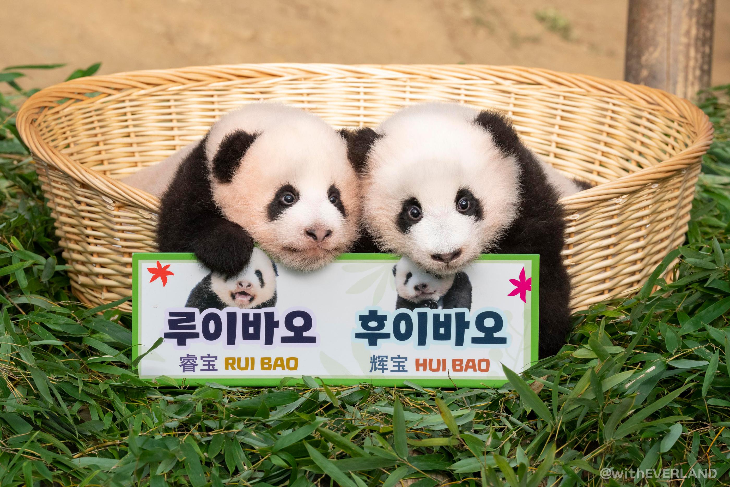 에버랜드 