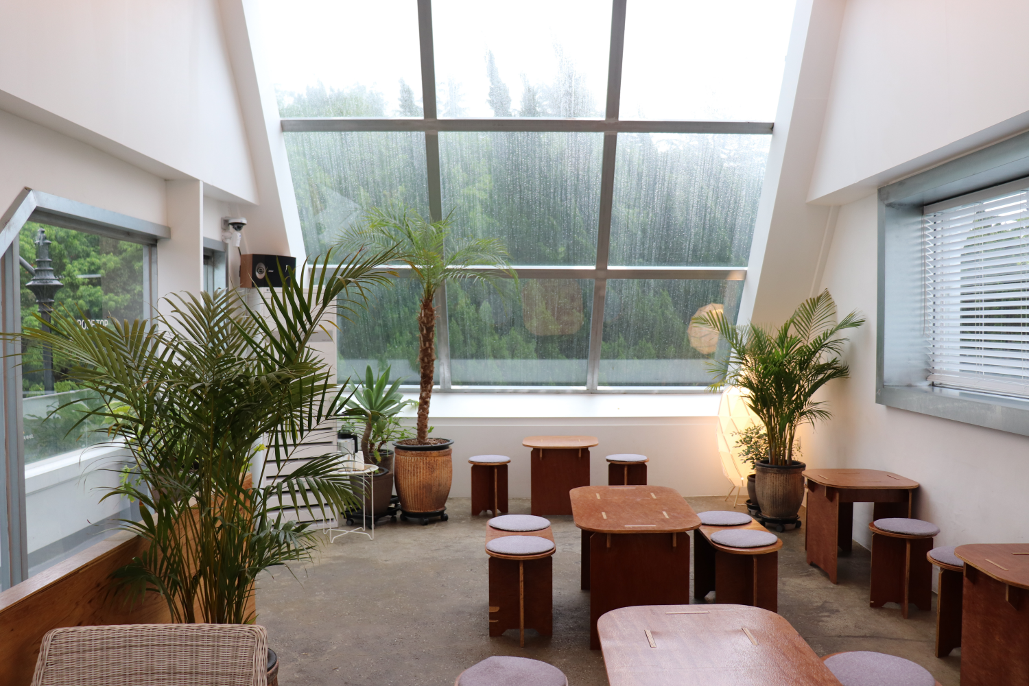 Cupón de descuento en menú