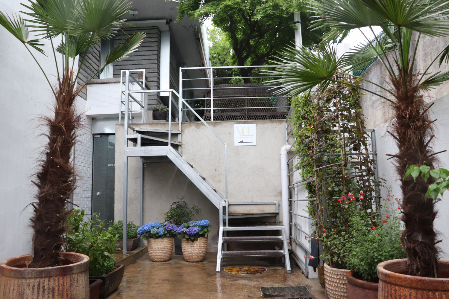 Vista desde la azotea