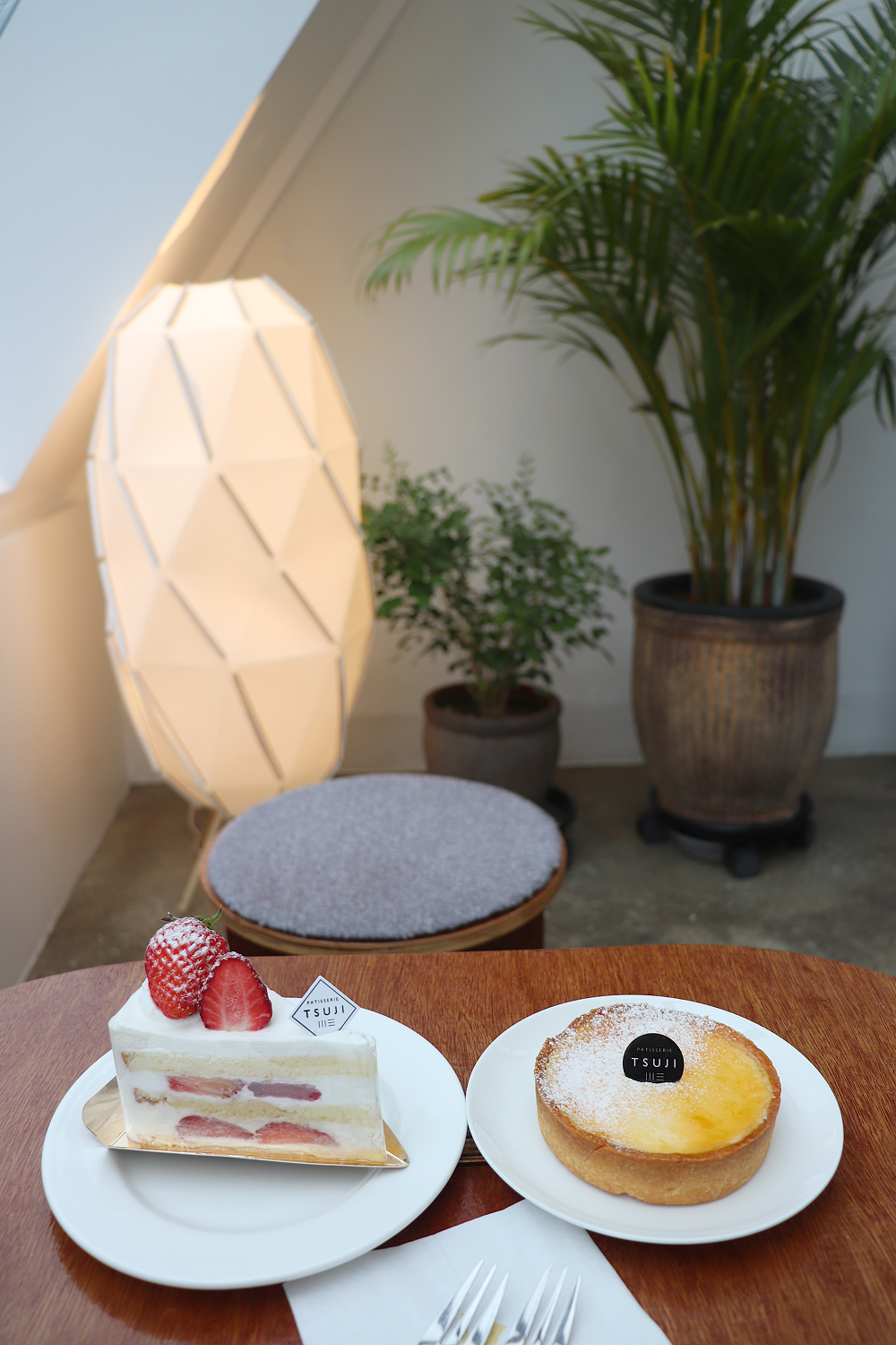 Interior con jardín botánico