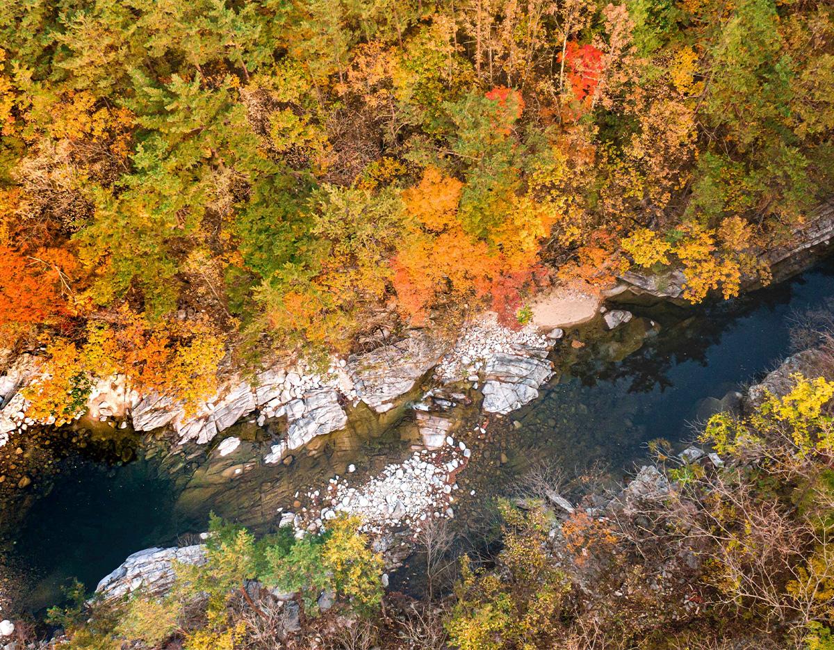 Odaesan National Park