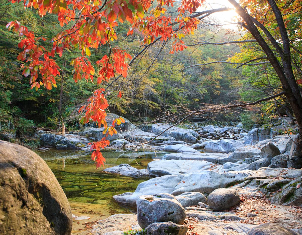 Odaesan National Park