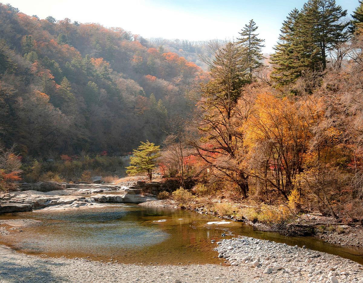 Odaesan National Park