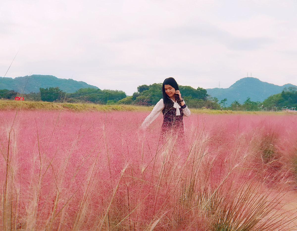 Seoul Tour｜Autumn Flowers One Day Tour in Gyeonggi-do / Incheon
