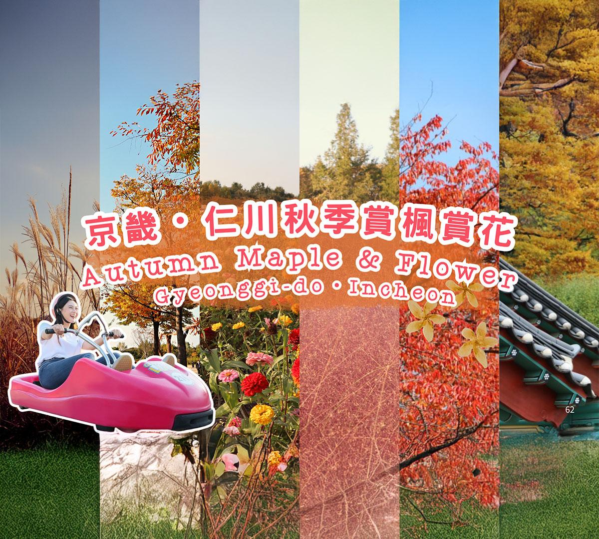 Seoul Tour｜Autumn Flowers One Day Tour in Gyeonggi-do / Incheon