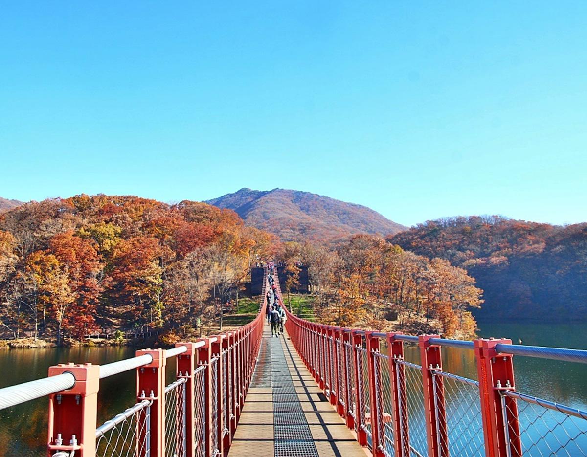 Seoul Tour｜Autumn Flowers One Day Tour in Gyeonggi-do / Incheon