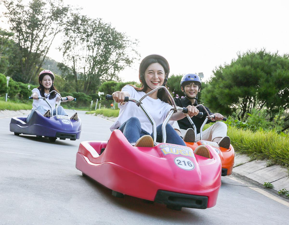 Seoul Tour｜Autumn Flowers One Day Tour in Gyeonggi-do / Incheon