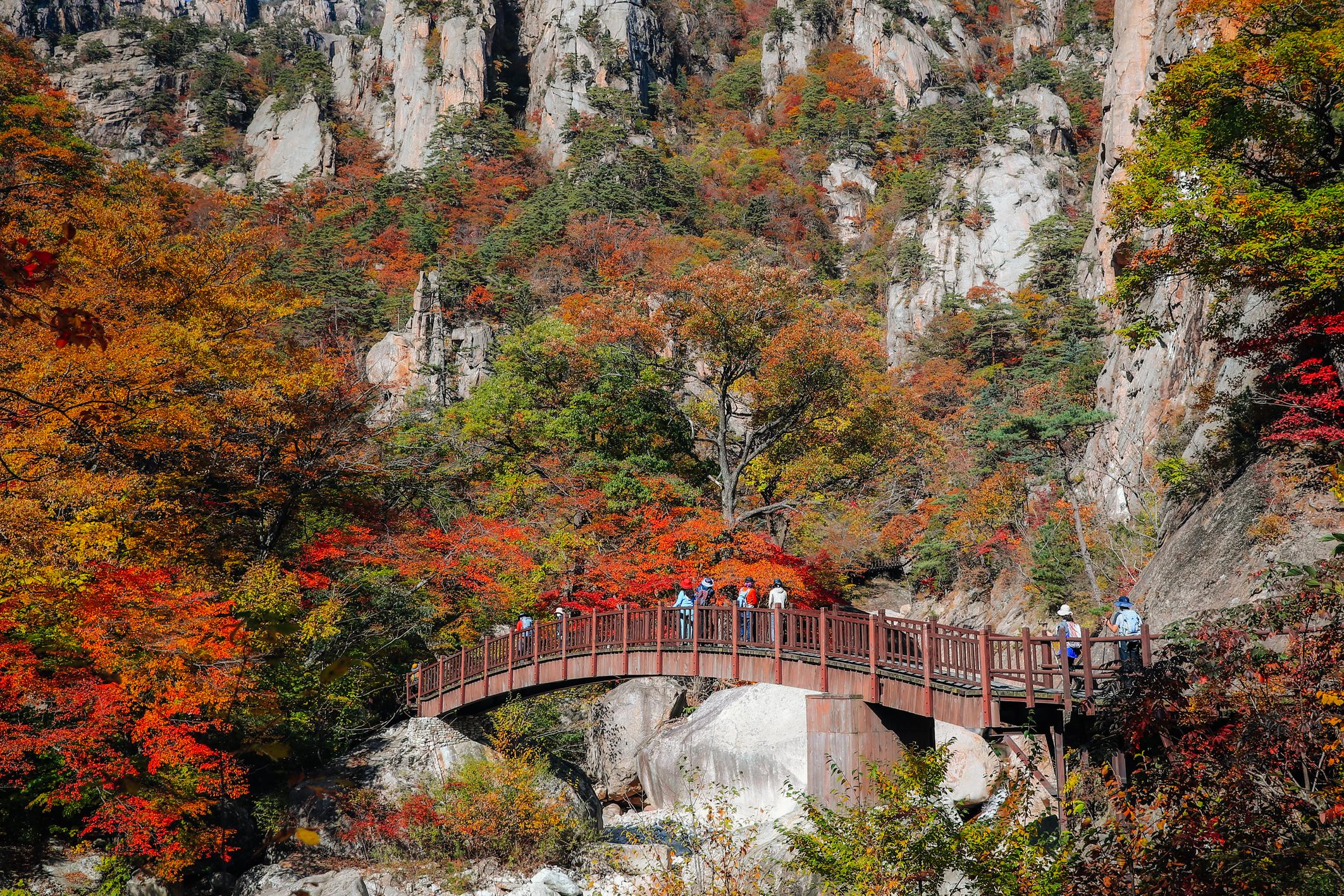 Seoraksan National Park autumn foliage