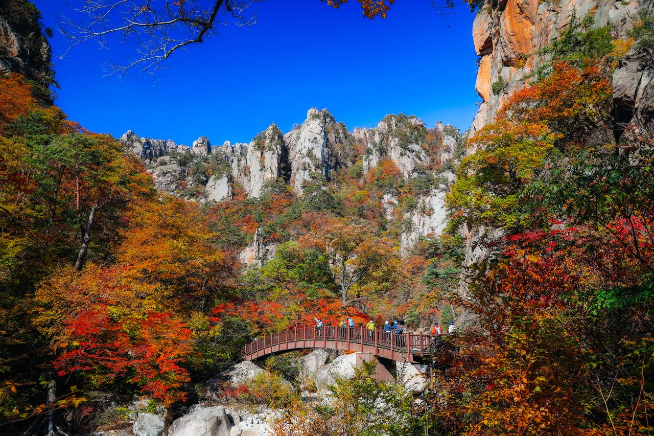 Seoraksan National Park autumn foliage