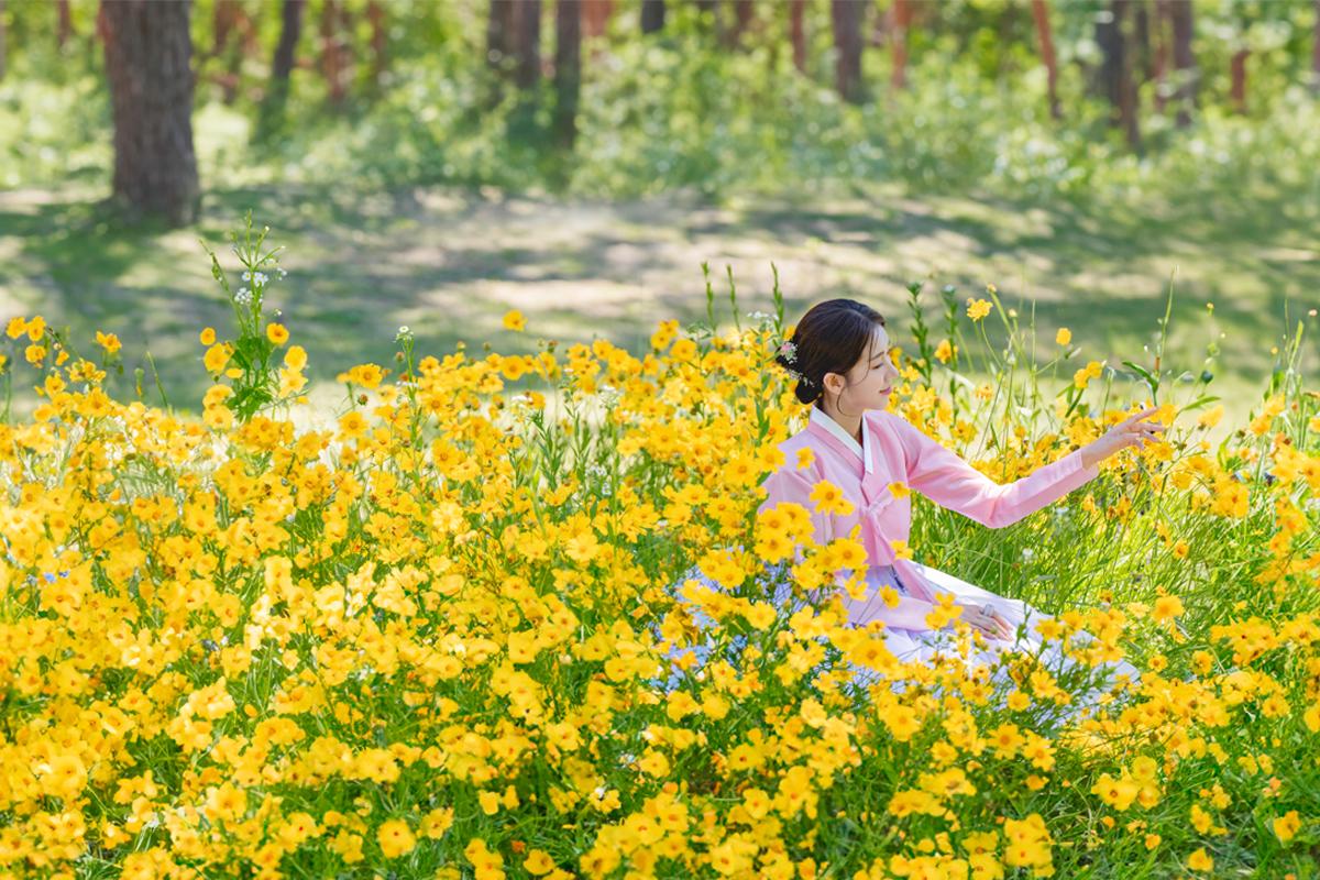 hanbok