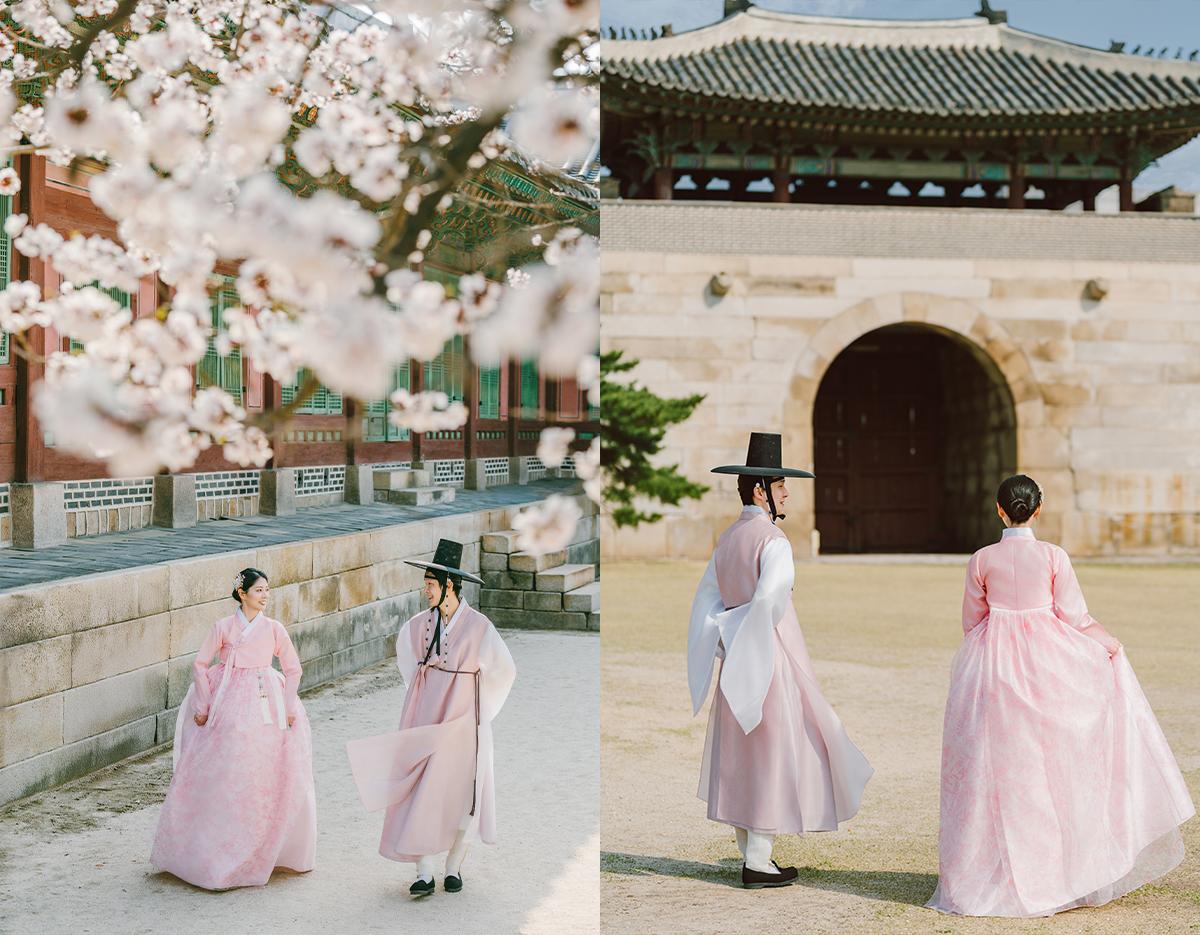 Two people in pale pink hanbok walking near Gyeongbokgung Palace stone walls and gate, cherry blossoms in foreground