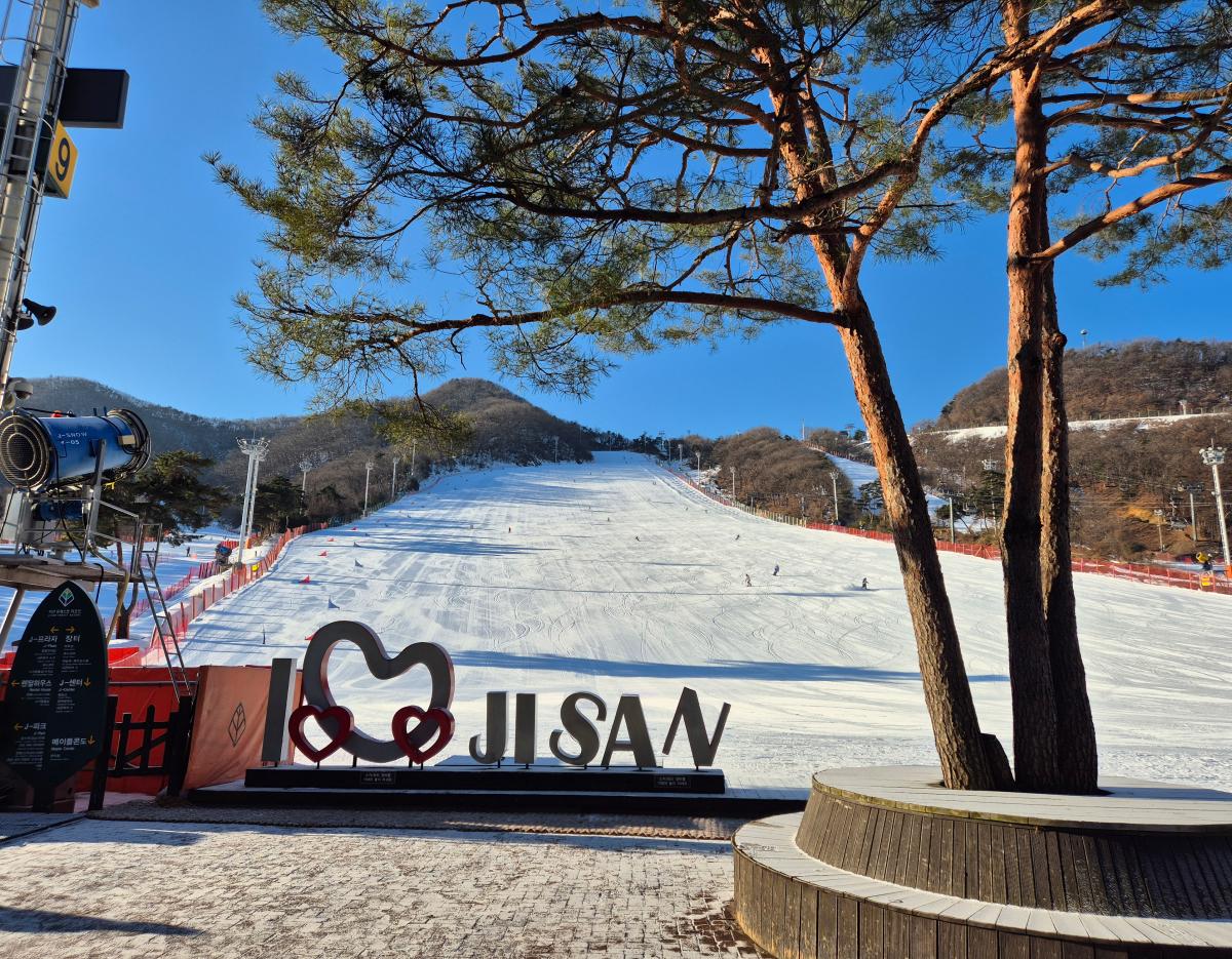 Jisan Forest Winter Ski Day Tour from Seoul