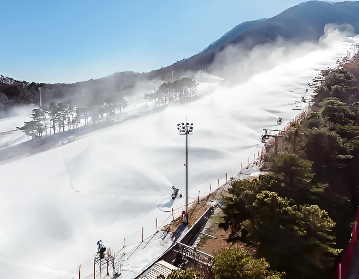 Jisan Forest Winter Ski Day Tour from Seoul