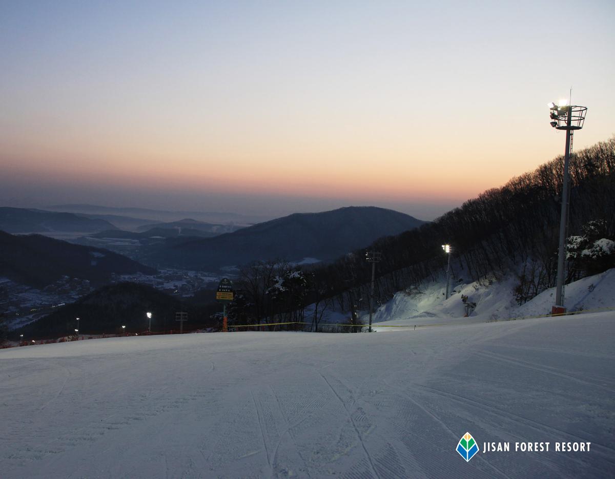 Jisan Forest Winter Ski Day Tour from Seoul