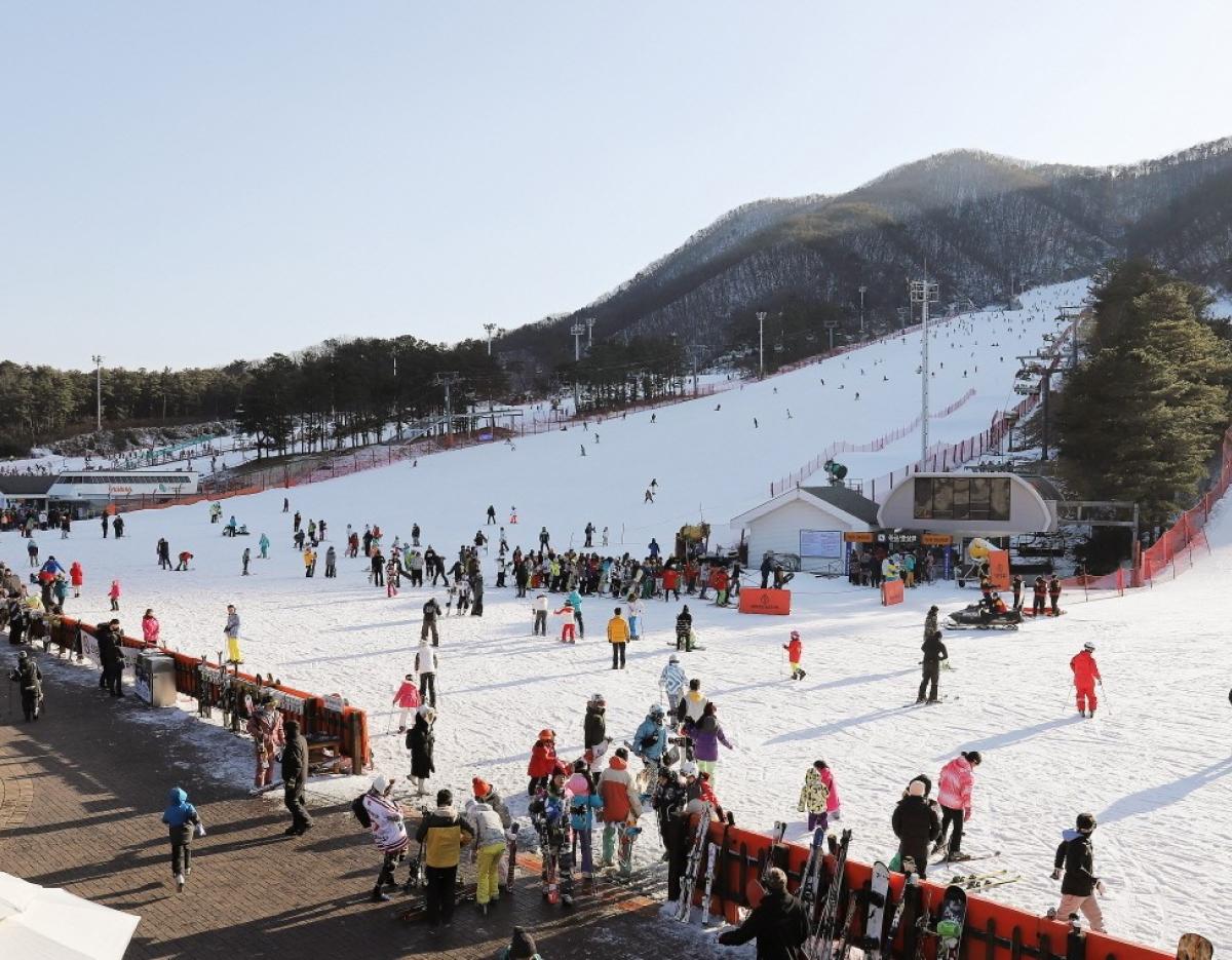 Jisan Forest Winter Ski Day Tour from Seoul