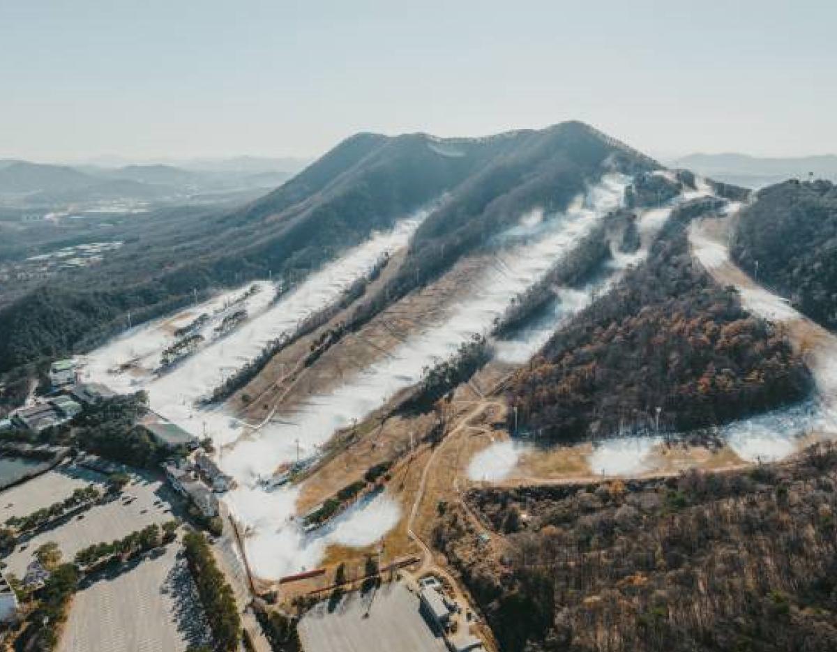 Jisan Forest Winter Ski Day Tour from Seoul