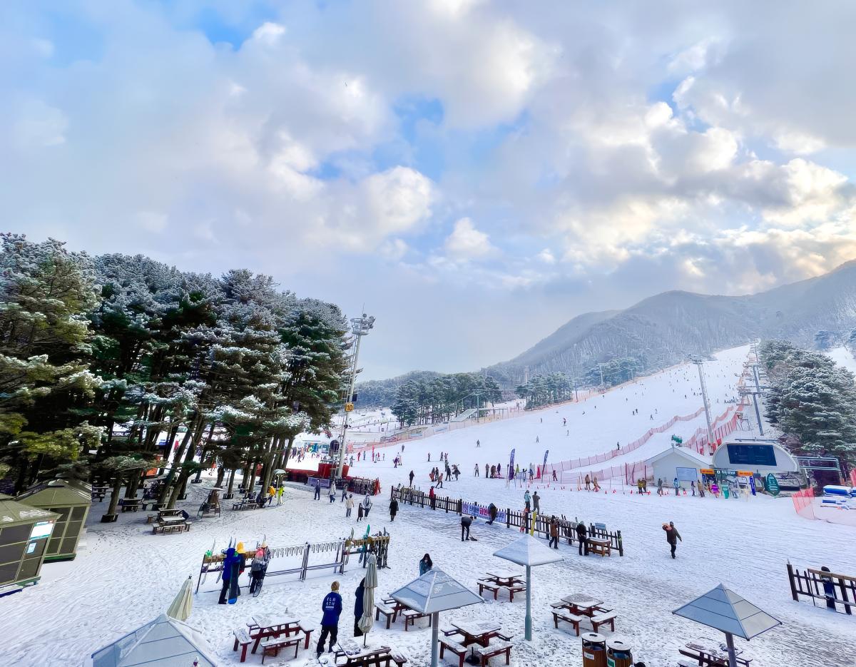 Jisan Forest Winter Ski Day Tour from Seoul