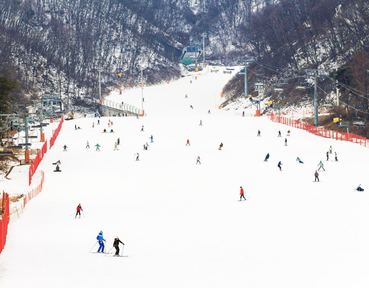 Jisan Forest Winter Ski Day Tour from Seoul