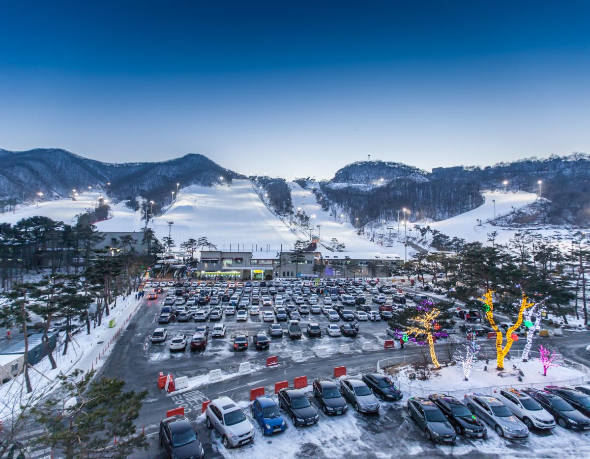 Jisan Forest Winter Ski Day Tour from Seoul