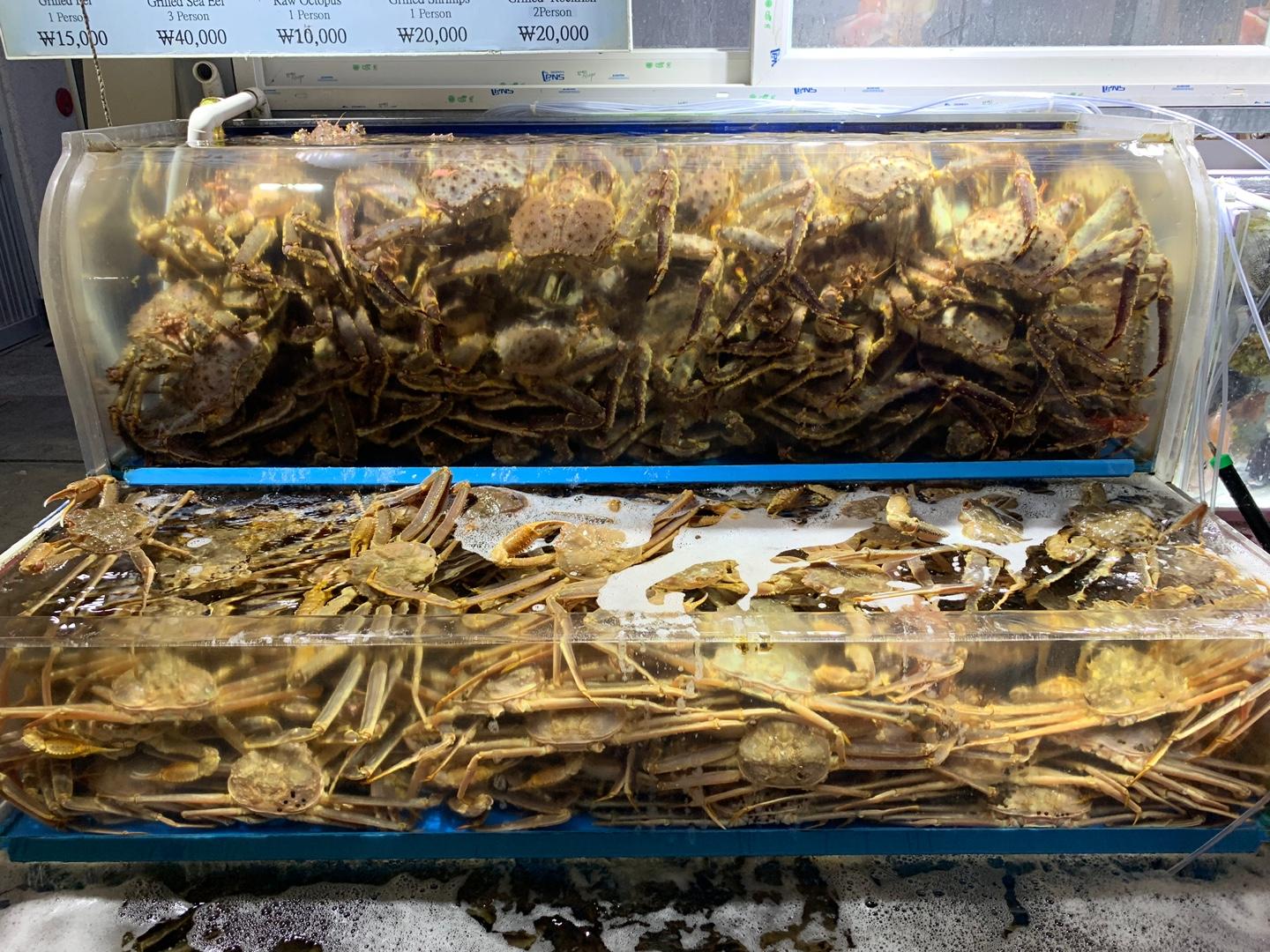 先揀海鮮再講價