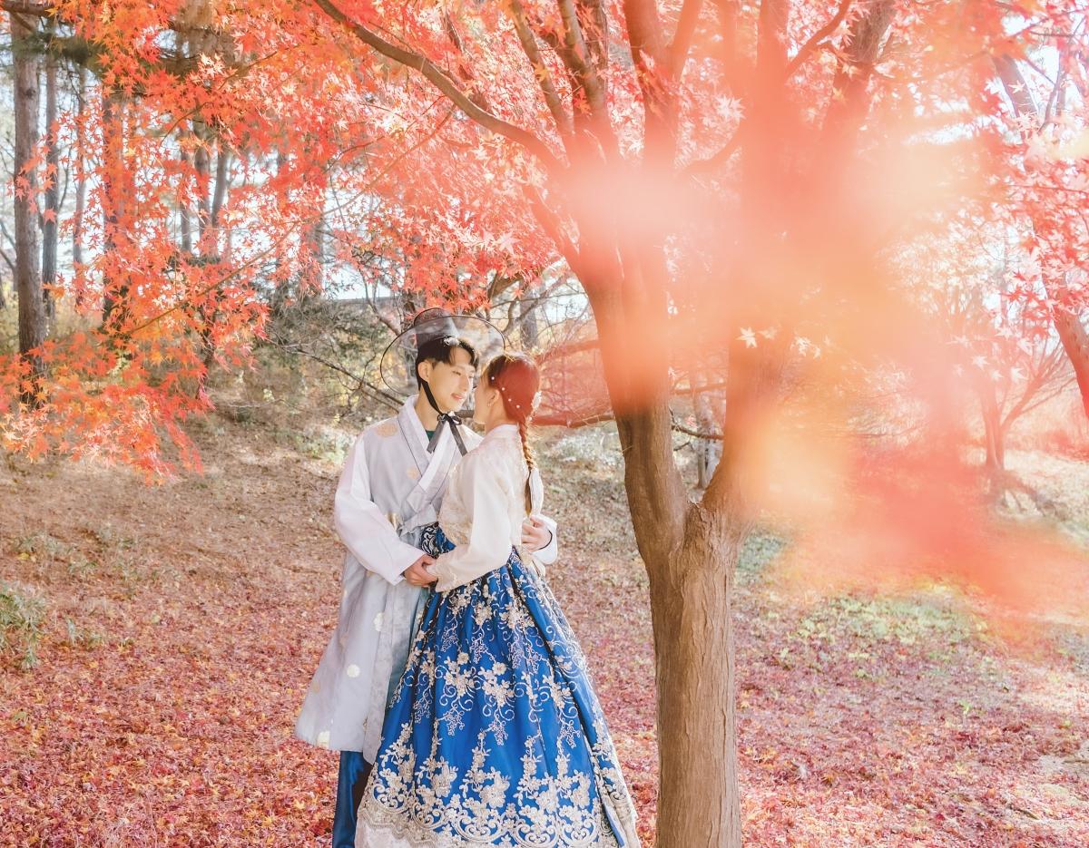 hanbok 