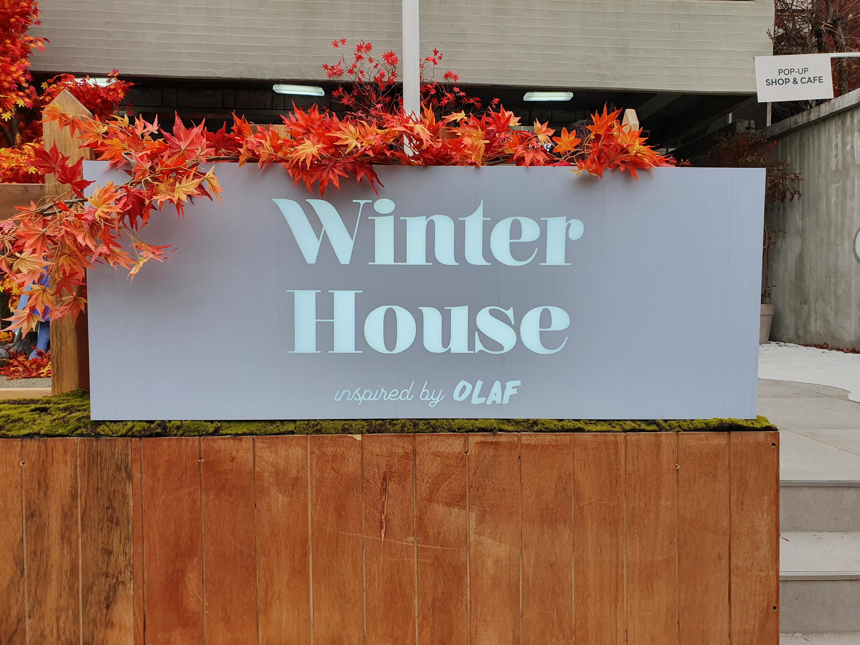 OLAF Pop-up-Store image 17