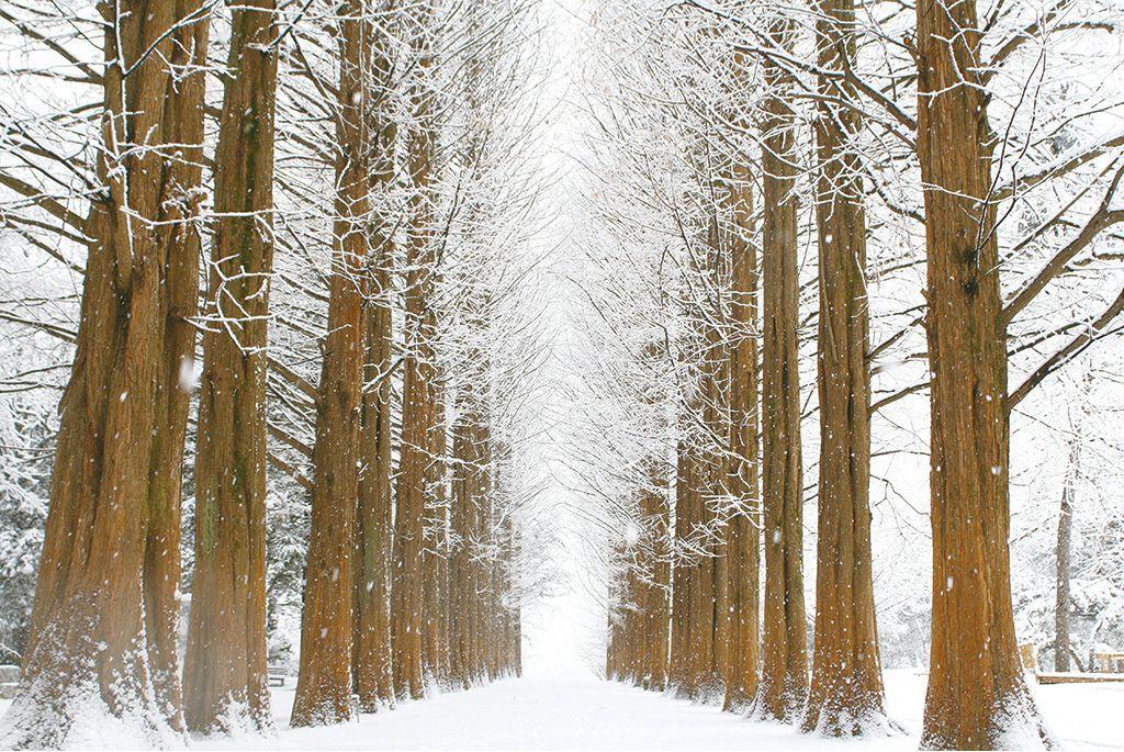 Tour di un giorno nelle terre innevate (evento anticipato) image 12