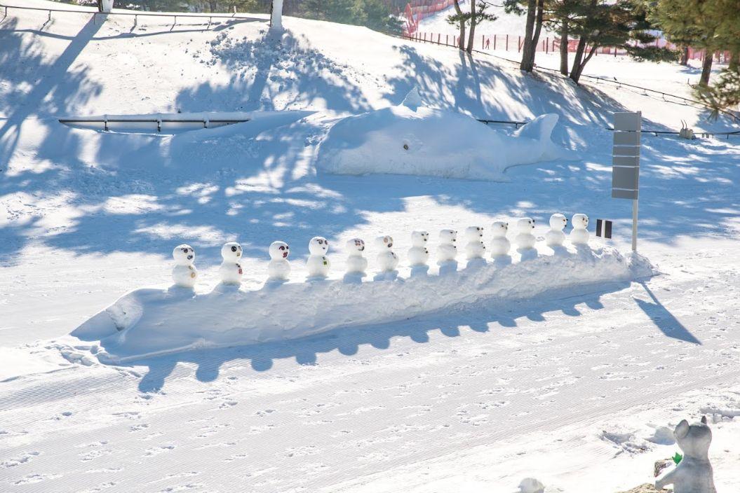 Tour di un giorno nelle terre innevate (evento anticipato) image 5