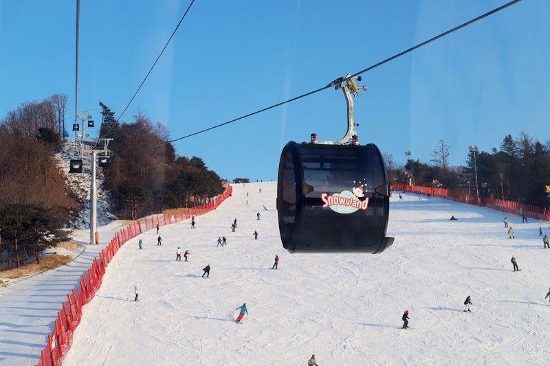 Tour di un giorno nelle terre innevate (evento anticipato) image 6