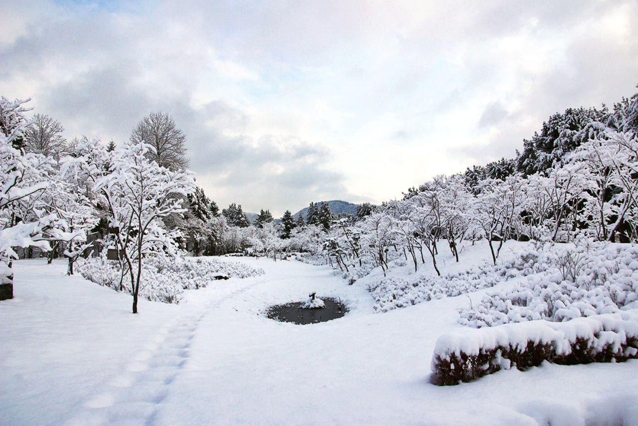 Tour di un giorno nelle terre innevate (evento anticipato) image 14