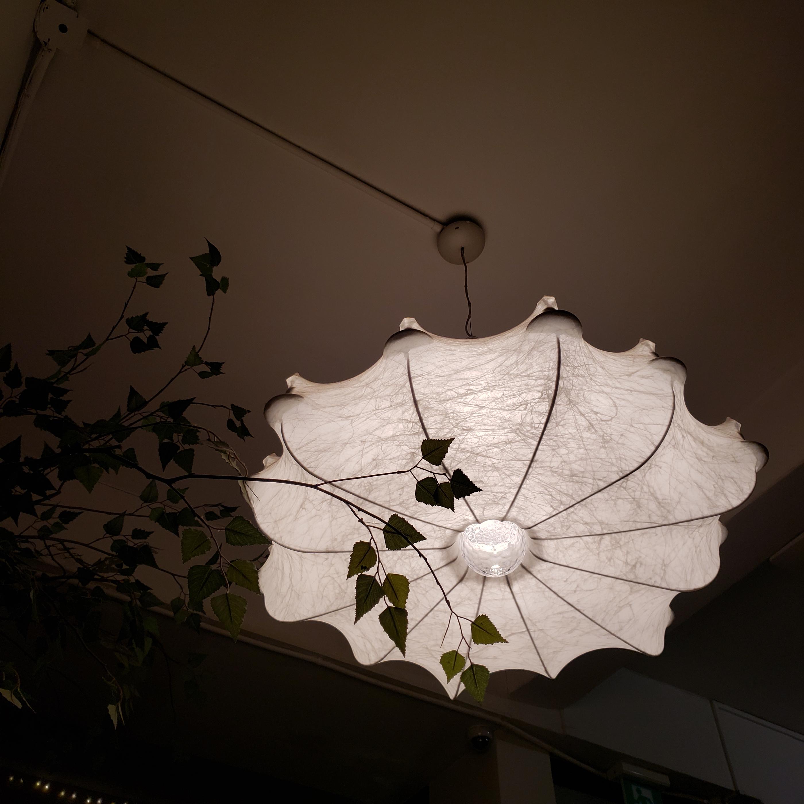 Schokoladendessert bei Schokoblüte