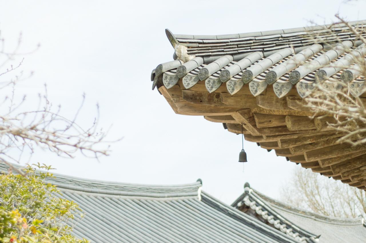 Salle d'expérience du thé nature image 4