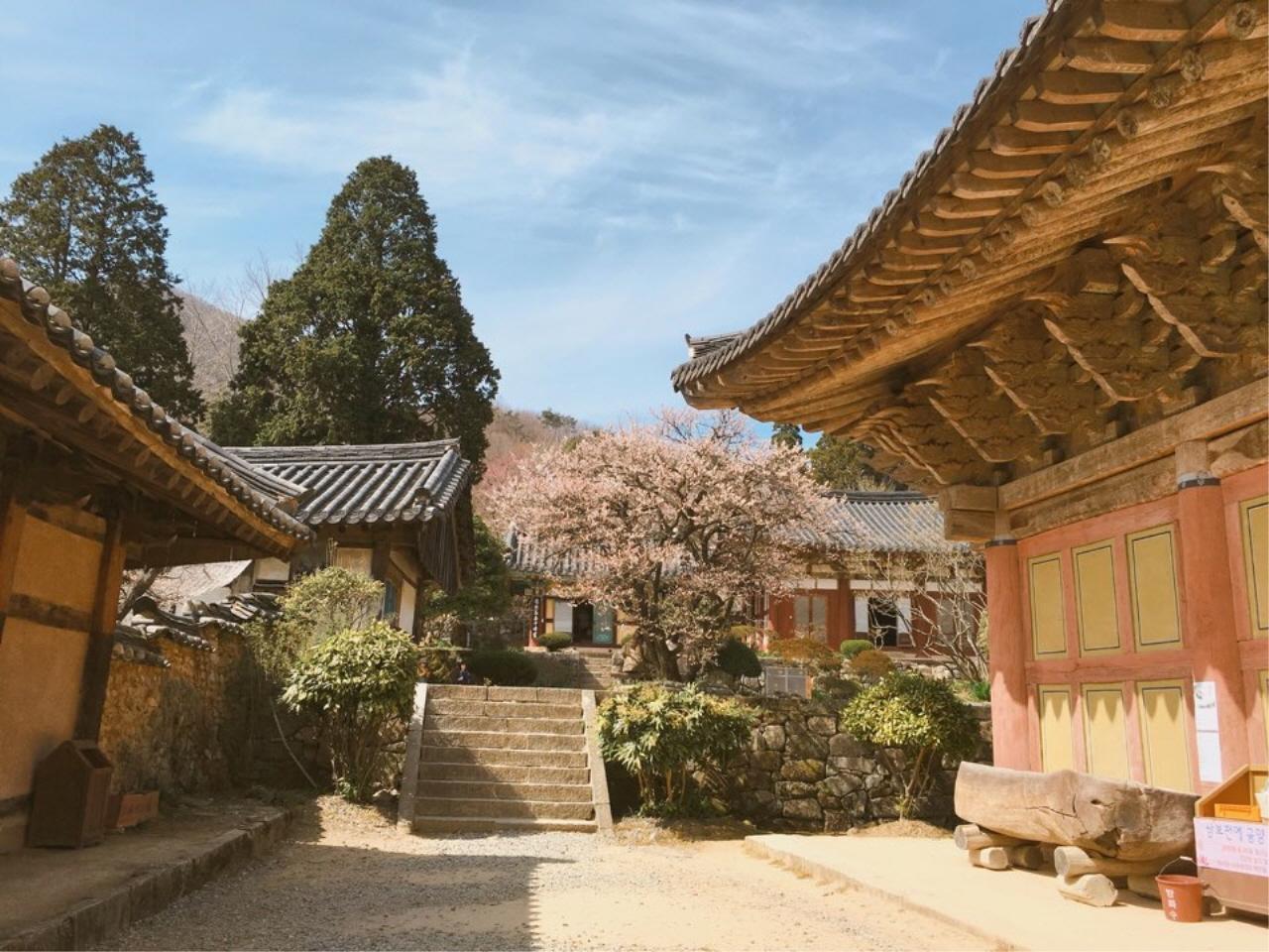 Salle d'expérience du thé nature image 7