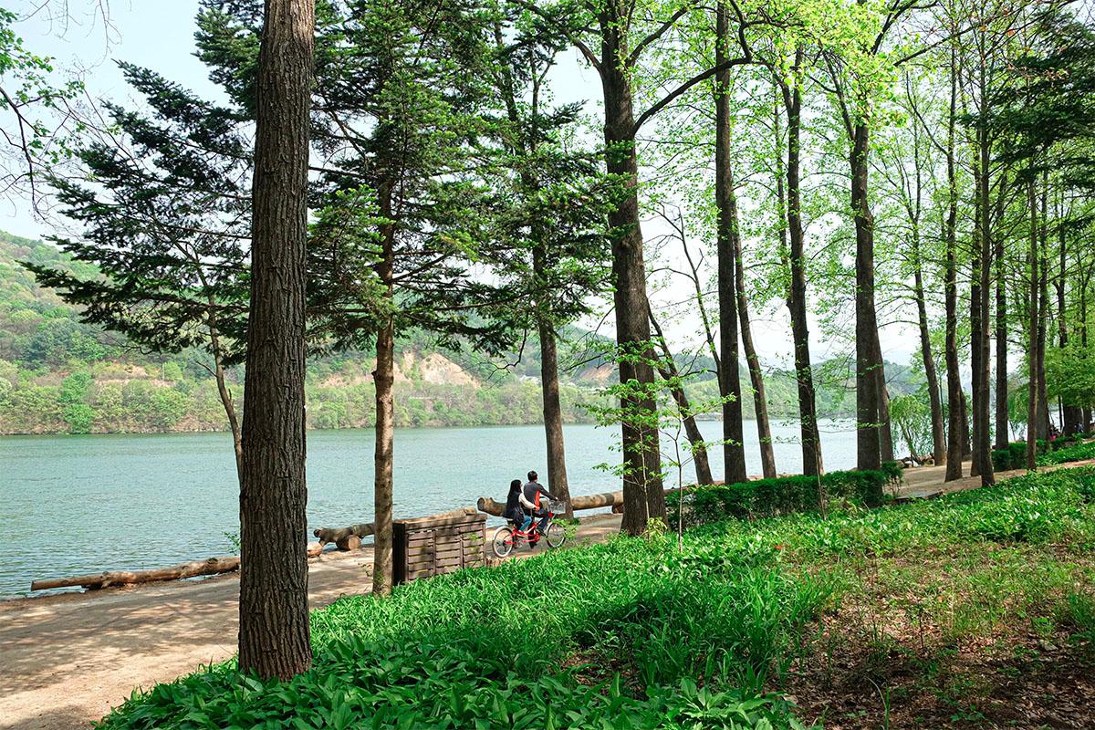 Nami Island Round-Trip Shuttle Bus | Seoul Departure