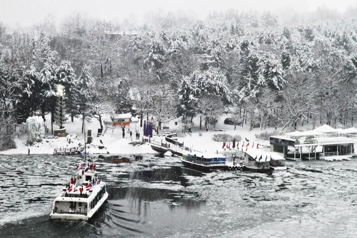 Nami Island Round-Trip Shuttle Bus | Seoul Departure