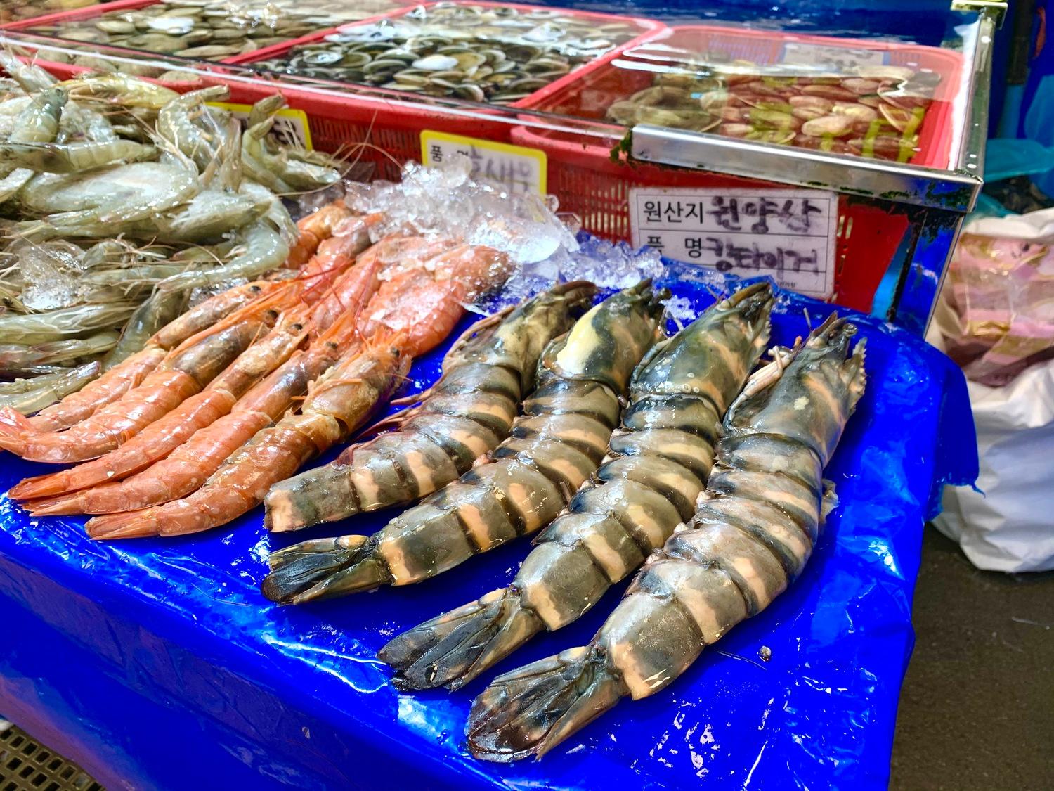 Fresh seafood experience at Nodeul Susan