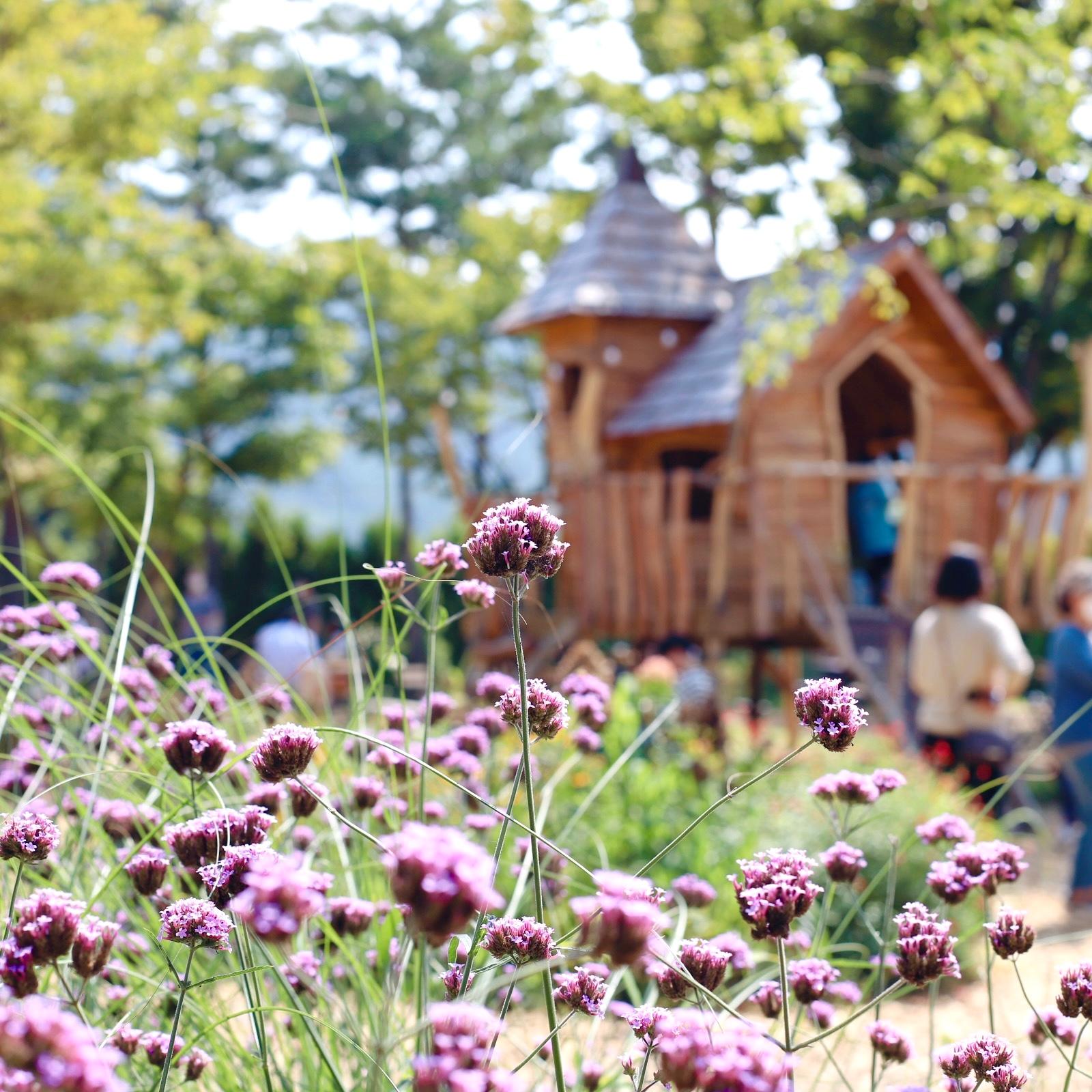 Paisaje de temporada