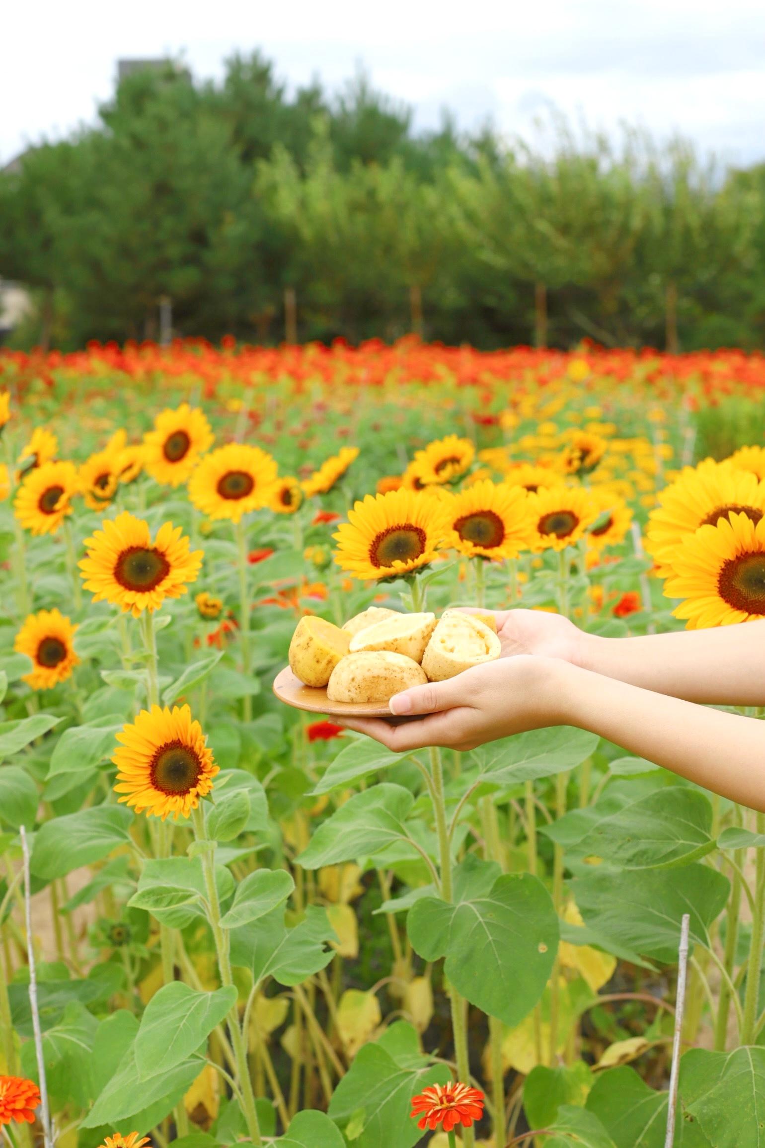 Paisaje exterior de temporada