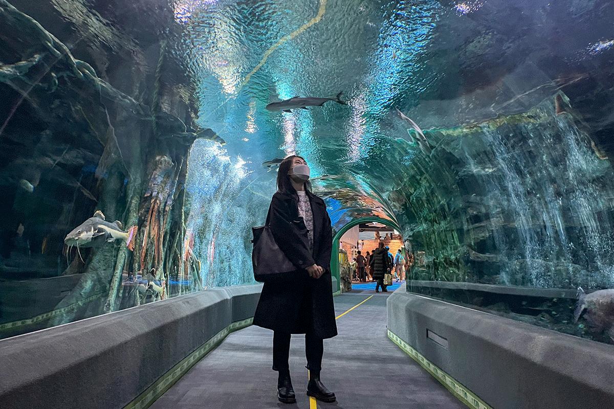 樂天世界水族館門票-image