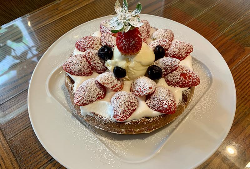카페코인 1호점