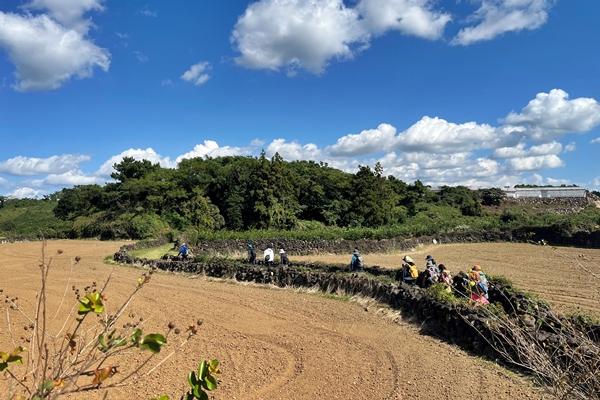 Visite bien-être de Jeju pour les étrangers-image