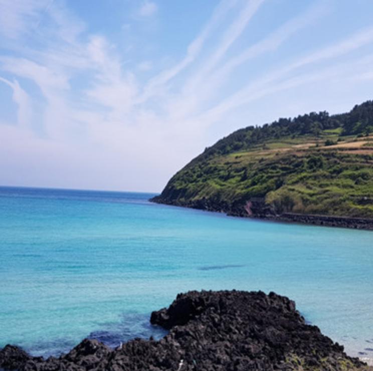 Visite d'une journée de guérison et de propreté à Jeju-image